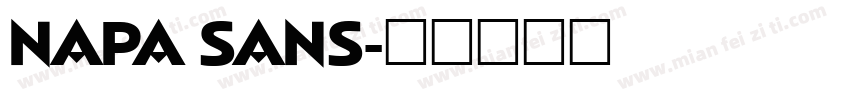 NAPA SANS字体转换